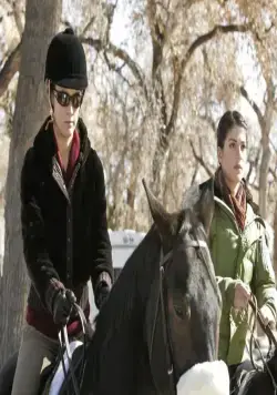 Дикий огонь (2005) 1-4 сезон 1-11,12,13 серия смотреть онлайн бесплатно Дикий огонь (2005) сериал 1-11,12,13 серию 1-4 сезона смотреть онлайн бесплатно