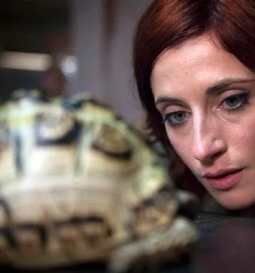 Плохие (2009) смотреть онлайн Плохие (2009) сериал смотреть онлайн