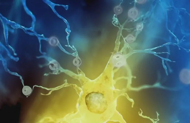 Испытайте свой мозг (2011) в хорошем качестве смотреть онлайн Испытайте свой мозг (2011) сериал в хорошем качестве смотреть онлайн