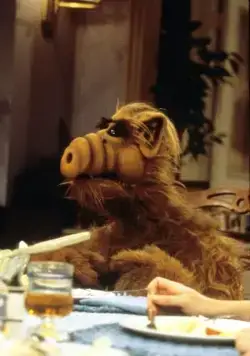 Альф (1986) в хорошем качестве смотреть онлайн Альф (1986) сериал в хорошем качестве смотреть онлайн