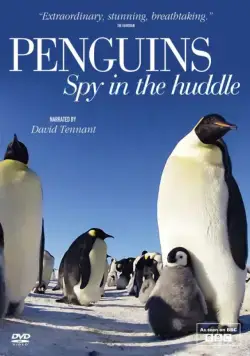 Пингвины: Шпион в толпе / Penguins: Spy in the Huddle (2013) cериал смотреть онлайн Пингвины: Шпион в толпе / Penguins: Spy in the Huddle (2013) cериал смотреть онлайн в хорошем качестве