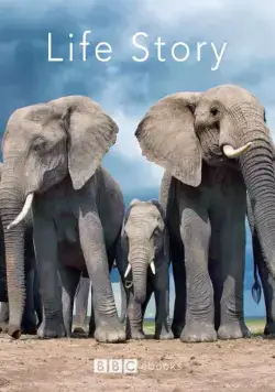 История жизни / Life Story (2014) cериал смотреть онлайн История жизни / Life Story (2014) cериал смотреть онлайн в хорошем качестве