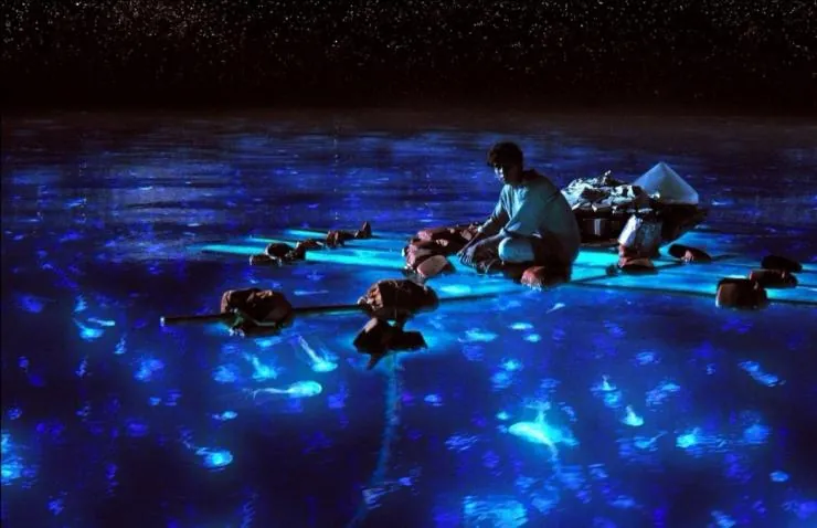 Жизнь Пи (2012) смотреть онлайн Жизнь Пи (2012) фильм смотреть онлайн