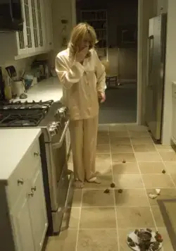 Частная жизнь Пиппы Ли (2009) в хорошем качестве смотреть онлайн Частная жизнь Пиппы Ли (2009) фильм в хорошем качестве смотреть онлайн