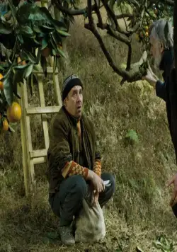 Мандарины (2013) в хорошем качестве смотреть онлайн Мандарины (2013) фильм в хорошем качестве смотреть онлайн