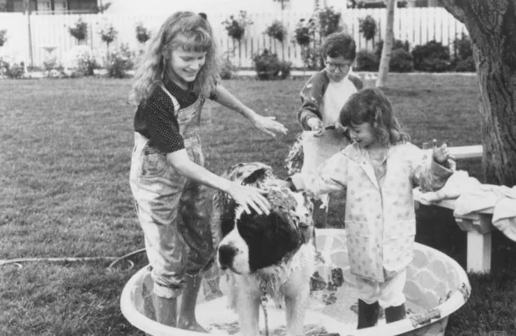 Бетховен (1992) смотреть онлайн Бетховен (1992) фильм смотреть онлайн