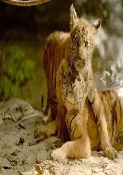 Два брата (2004) в хорошем качестве смотреть онлайн Два брата (2004) фильм в хорошем качестве смотреть онлайн