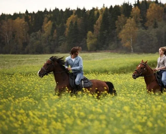 Цветок дьявола (2010) смотреть онлайн Цветок дьявола (2010) фильм смотреть онлайн