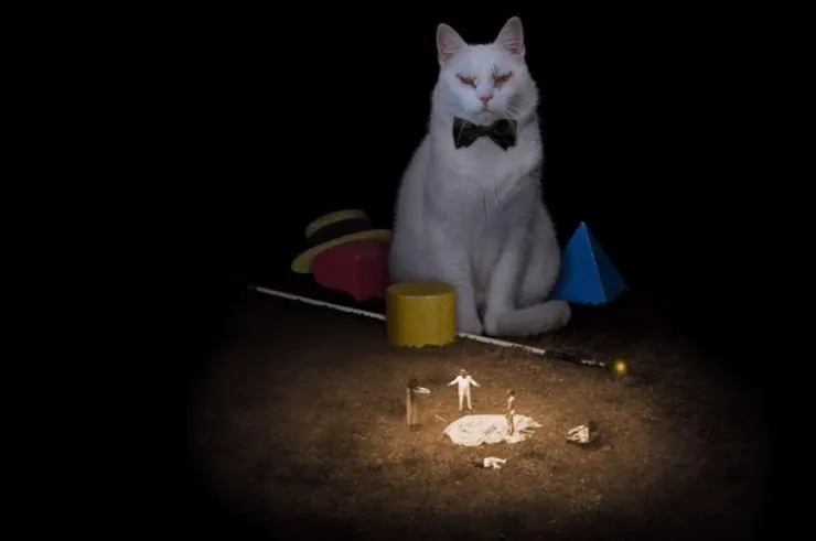 Коко-ди Коко-да (2019) смотреть онлайн бесплатно Коко-ди Коко-да (2019) фильм смотреть онлайн бесплатно