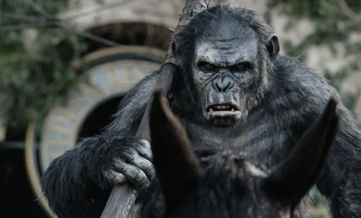 Планета обезьян: Революция (2014) в хорошем качестве смотреть онлайн Планета обезьян: Революция (2014) фильм в хорошем качестве смотреть онлайн