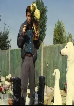 Милая ложь (1987) смотреть онлайн бесплатно Милая ложь (1987) фильм смотреть онлайн бесплатно