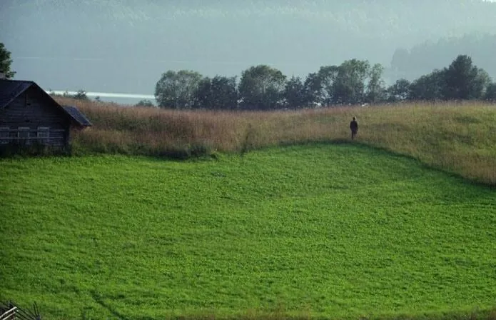 Белые ночи почтальона Алексея Тряпицына (2014) смотреть онлайн Белые ночи почтальона Алексея Тряпицына (2014) фильм смотреть онлайн