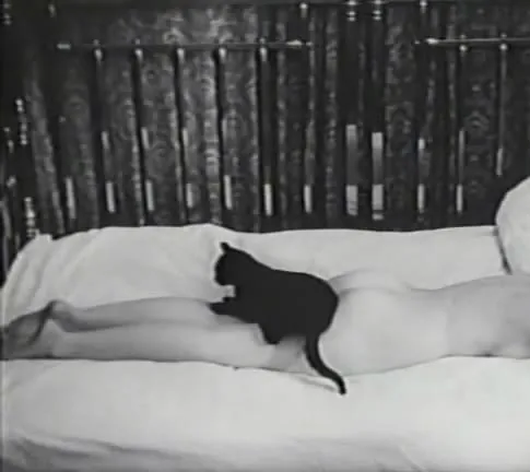 Любовный случай, или Трагедия служащей почтово-телеграфного узла (1966) смотреть онлайн Любовный случай, или Трагедия служащей почтово-телеграфного узла (1966) фильм смотреть онлайн