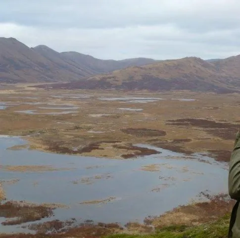 Охота (2014) смотреть онлайн бесплатно Охота (2014) сериал смотреть онлайн бесплатно