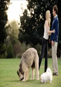 Американский пирог 3: Свадьба (2003) в хорошем качестве смотреть онлайн Американский пирог 3: Свадьба (2003) фильм в хорошем качестве смотреть онлайн