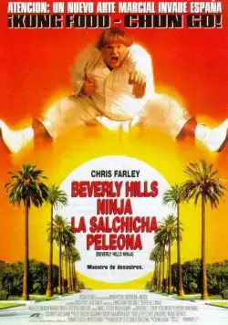 Ниндзя из Беверли Хиллз / Beverly Hills Ninja (1997) фильм смотреть онлайн Ниндзя из Беверли Хиллз / Beverly Hills Ninja (1997) фильм смотреть онлайн в хорошем качестве