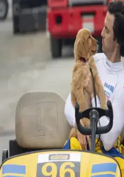 Невероятный мир глазами Энцо (2019) смотреть онлайн Невероятный мир глазами Энцо (2019) фильм смотреть онлайн