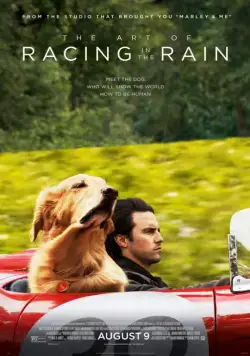 Невероятный мир глазами Энцо / The Art of Racing in the Rain (2019) фильм смотреть онлайн Невероятный мир глазами Энцо / The Art of Racing in the Rain (2019) фильм смотреть онлайн в хорошем качестве