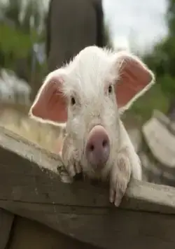 Моя ужасная няня 2 (2010) в хорошем качестве смотреть онлайн Моя ужасная няня 2 (2010) фильм в хорошем качестве смотреть онлайн