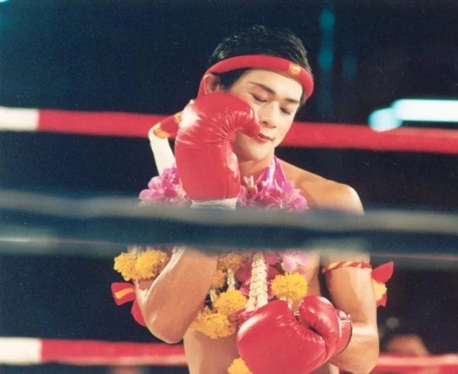 Прекрасный боксер (2003) смотреть онлайн бесплатно Прекрасный боксер (2003) фильм смотреть онлайн бесплатно