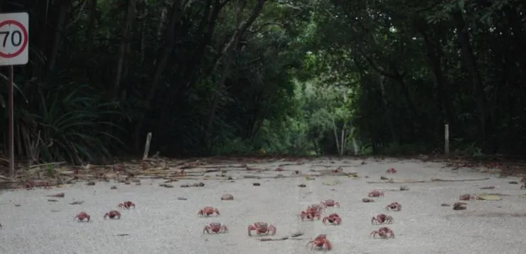 Остров голодных призраков (2018) смотреть онлайн Остров голодных призраков (2018) фильм смотреть онлайн