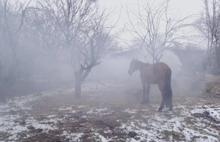 Гогита. Новая жизнь (2016) смотреть онлайн бесплатно Гогита. Новая жизнь (2016) фильм смотреть онлайн бесплатно