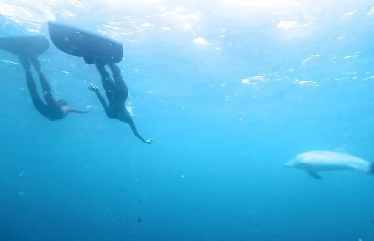 Рожденные свободными (2016) смотреть онлайн бесплатно Рожденные свободными (2016) фильм смотреть онлайн бесплатно