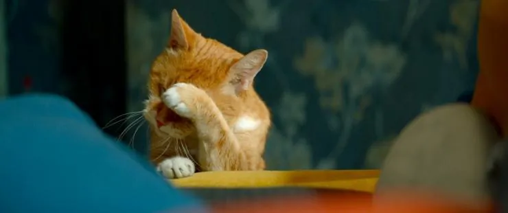 Домовой (2019) смотреть онлайн бесплатно Домовой (2019) фильм смотреть онлайн бесплатно