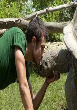 Луна над Турином (2013) смотреть онлайн Луна над Турином (2013) фильм смотреть онлайн