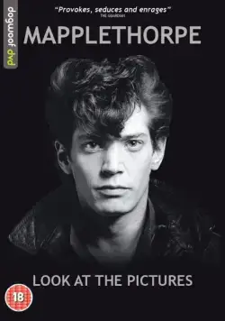 Мэпплторп: только полюбуйтесь / Mapplethorpe: Look at the Pictures (2016) фильм смотреть онлайн в хорошем качестве