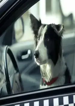 Ёлки лохматые (2014) в хорошем качестве смотреть онлайн Ёлки лохматые (2014) фильм в хорошем качестве смотреть онлайн