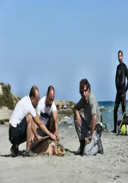 Вот так подружка (2014) в хорошем качестве смотреть онлайн Вот так подружка (2014) фильм в хорошем качестве смотреть онлайн