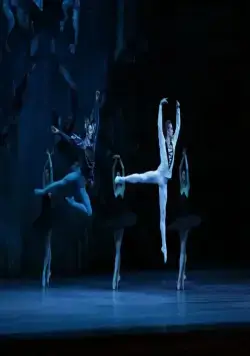 Лебединое озеро (2014) в хорошем качестве смотреть онлайн Лебединое озеро (2014) фильм в хорошем качестве смотреть онлайн