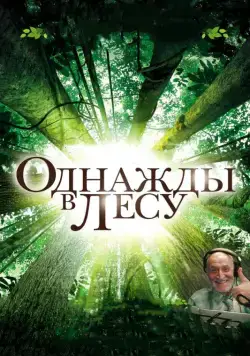 Однажды в лесу / Once in the Forest (2013) фильм смотреть онлайн Однажды в лесу / Once in the Forest (2013) фильм смотреть онлайн в хорошем качестве