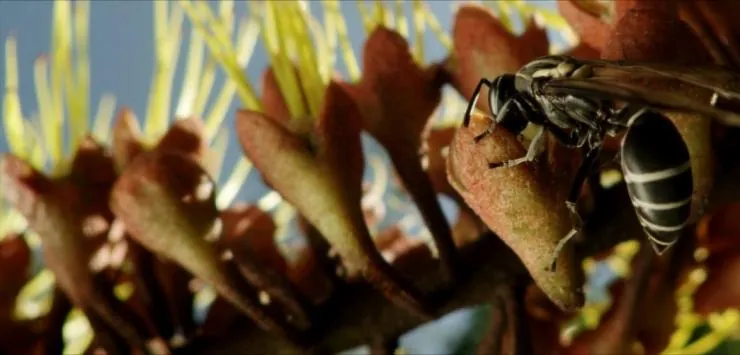 Однажды в лесу (2013) смотреть онлайн бесплатно Однажды в лесу (2013) фильм смотреть онлайн бесплатно