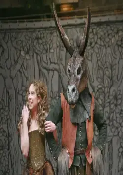 Сон в летнюю ночь (2014) смотреть онлайн Сон в летнюю ночь (2014) фильм смотреть онлайн