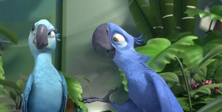 Рио 2 (2014) в хорошем качестве смотреть онлайн Рио 2 (2014) мультфильм в хорошем качестве смотреть онлайн