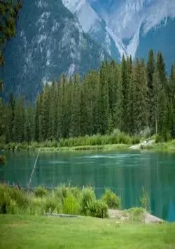 Люблю твою жену (2013) смотреть онлайн Люблю твою жену (2013) фильм смотреть онлайн