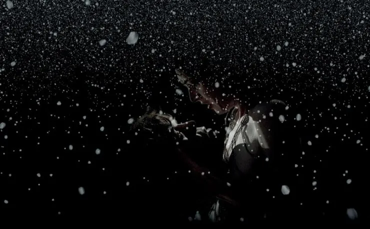 Гольциус и Пеликанья компания (2012) смотреть онлайн бесплатно Гольциус и Пеликанья компания (2012) фильм смотреть онлайн бесплатно