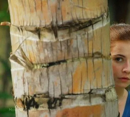 Турецкий для начинающих (2012) в хорошем качестве смотреть онлайн Турецкий для начинающих (2012) фильм в хорошем качестве смотреть онлайн