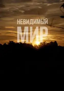 Невидимый мир / Mundo Invisível (2012) фильм смотреть онлайн Невидимый мир / Mundo Invisível (2012) фильм смотреть онлайн в хорошем качестве
