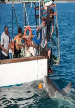 Заклинательница акул (2011) смотреть онлайн Заклинательница акул (2011) фильм смотреть онлайн