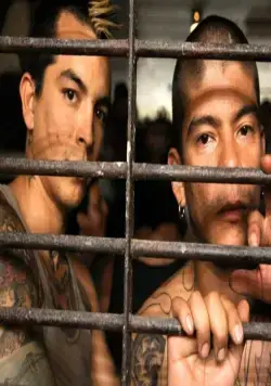 «Весёлые» каникулы (2011) смотреть онлайн «Весёлые» каникулы (2011) фильм смотреть онлайн