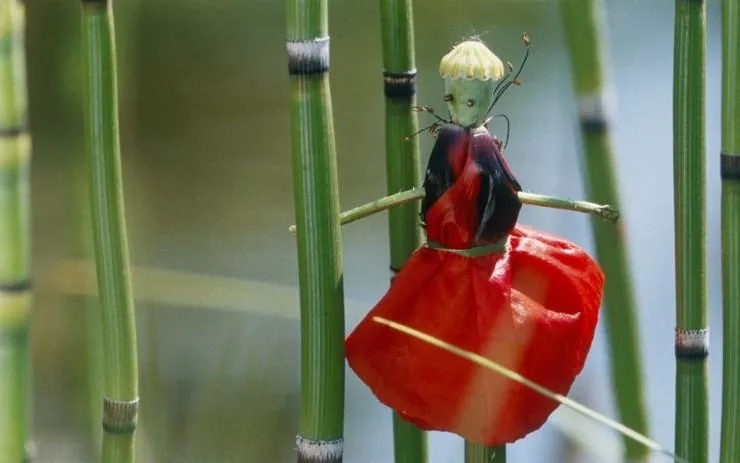 Сфера колдовства (2011) смотреть онлайн бесплатно Сфера колдовства (2011) фильм смотреть онлайн бесплатно