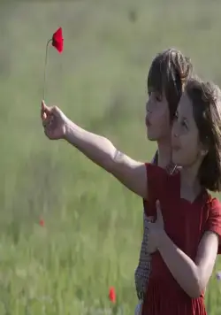 Сфера колдовства (2011) смотреть онлайн Сфера колдовства (2011) фильм смотреть онлайн