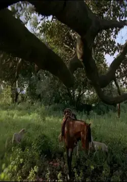 После мрака свет (2012) в хорошем качестве смотреть онлайн После мрака свет (2012) фильм в хорошем качестве смотреть онлайн