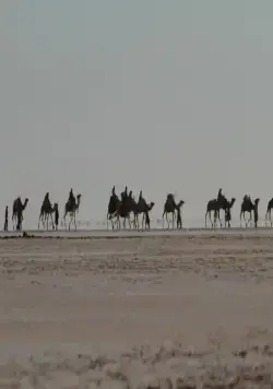 Черное золото (приключения) (2011) смотреть онлайн бесплатно Черное золото (приключения) (2011) фильм смотреть онлайн бесплатно