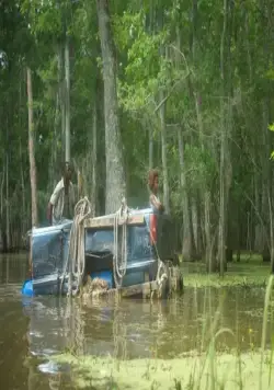 Звери дикого Юга (2012) смотреть онлайн бесплатно Звери дикого Юга (2012) фильм смотреть онлайн бесплатно