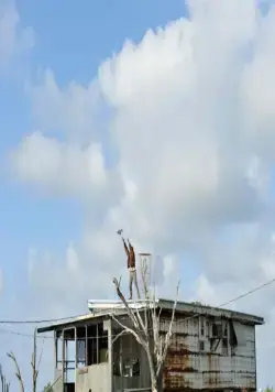 Звери дикого Юга (2012) в хорошем качестве смотреть онлайн Звери дикого Юга (2012) фильм в хорошем качестве смотреть онлайн