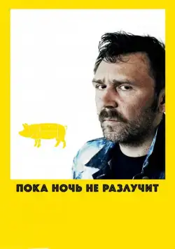 Пока ночь не разлучит (2012) фильм смотреть онлайн Пока ночь не разлучит (2012) фильм смотреть онлайн в хорошем качестве
